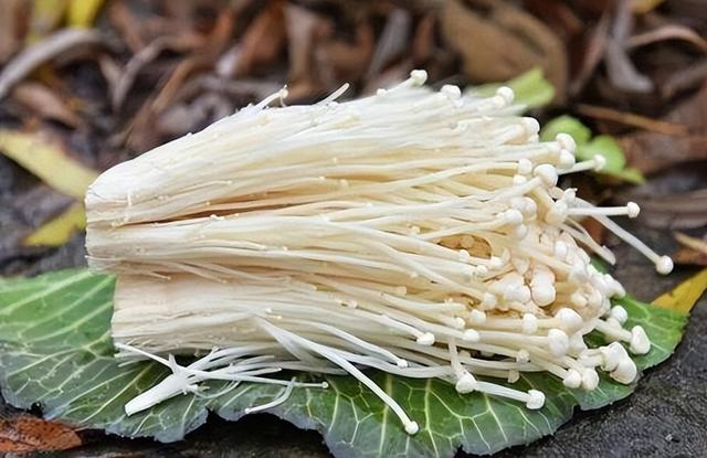 金针菇怎么做好吃，金针菇的最简单好吃的做法（分享金针菇的三种吃法）
