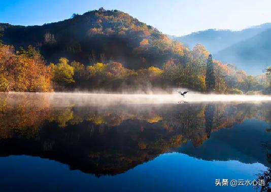 杜甫的五言绝句，杜甫的十首五言绝句（杜甫的两首佳作）