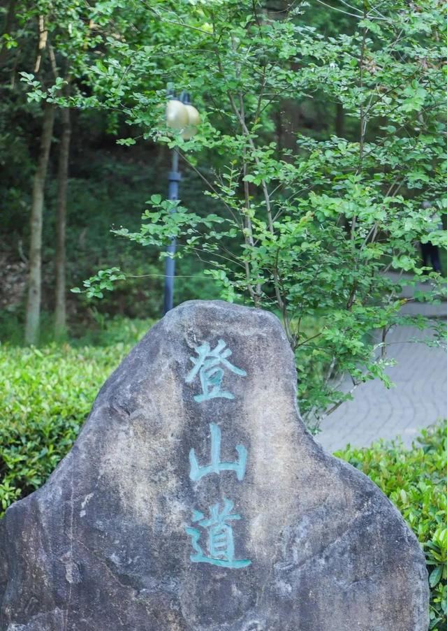 广州绿道田园景点，博罗这些高颜值绿道等你来打卡