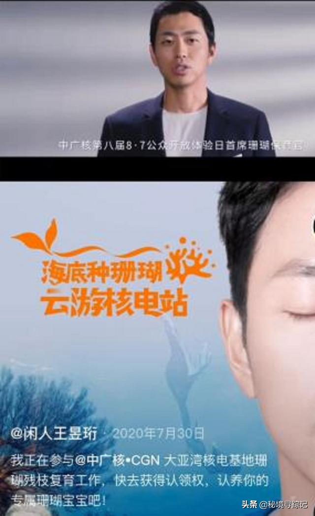 水哥王昱珩最强大脑合集无解说，水哥王昱珩两月考入清华