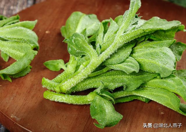 可以吃的野菜种类大全，教你认识不同的野菜和吃法