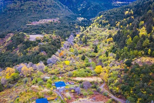 自驾318川藏线巡游轨迹，你知道去西藏怎么走最过瘾