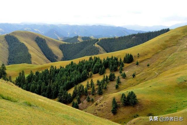 张掖旅游景点排名，张掖最近有哪些旅游胜地（张掖自驾游都有哪些好玩的地方）