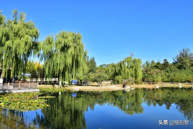 北京东三环房价，十年后的北京三环房价（东三环地铁盘，单价3.9万）