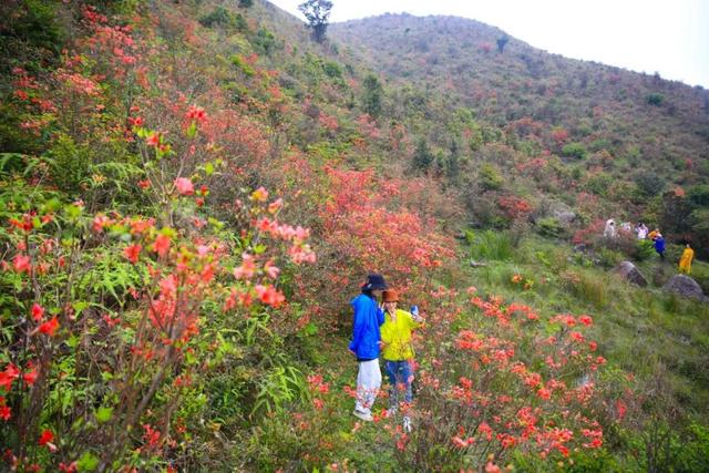 云浮天露山风景区好玩吗，广州出发自驾2h