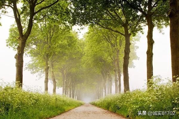 适合秋天的景色，中国十大秋色，哪里最美