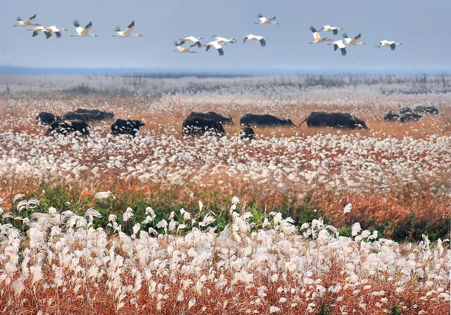 江西永修县旅游景点，江西永修千年古镇吴城