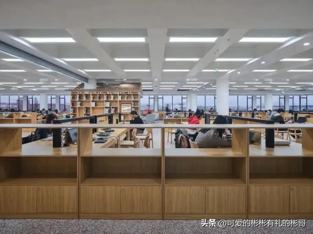 上海交大农学院，上海交通大学的工科学科排名