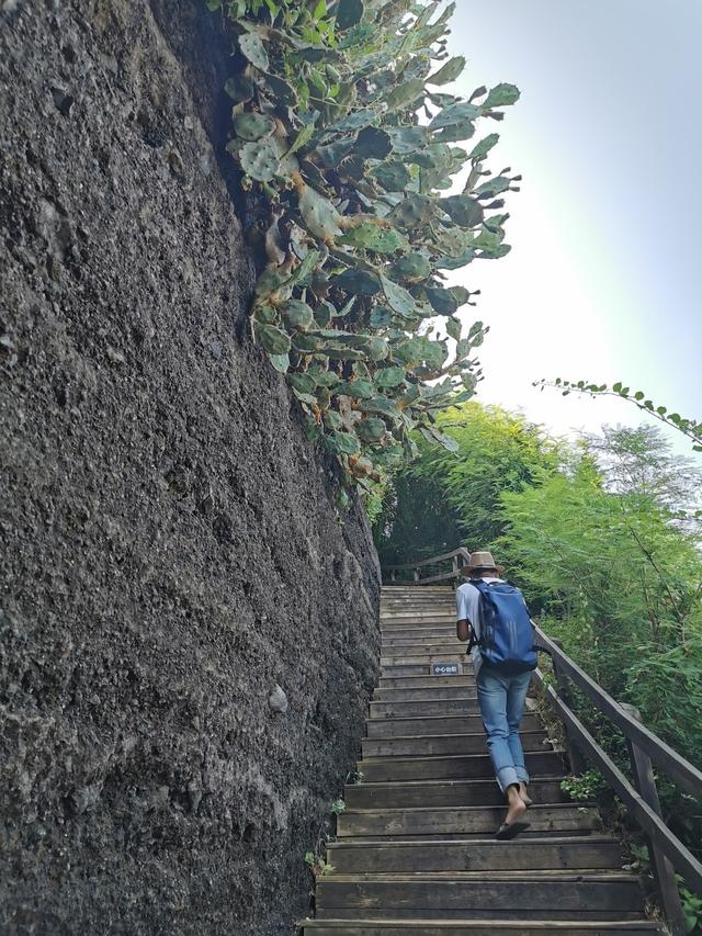 北海涠洲岛一日游最佳路线，北海涠洲岛5日游攻略