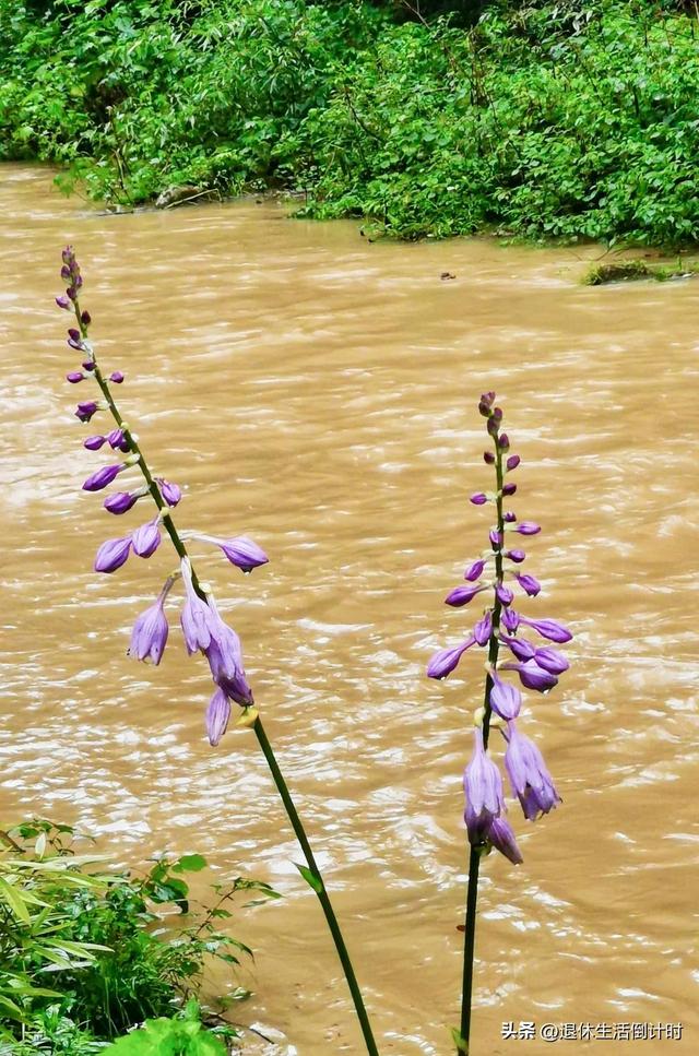 去张家界跟团游，张家界旅游纯玩团攻略和花费
