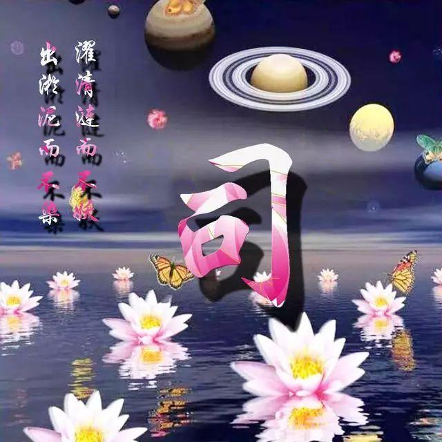 荷花头像图片大全，荷花头像高清图