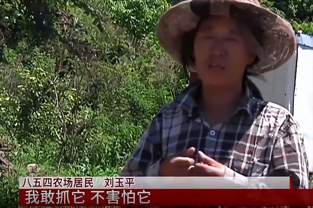 东北诡事真实案例，奇女子刘玉平和大蛇同吃同睡