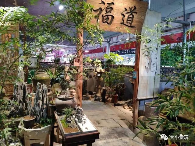 北京四大花市，丰台四大花市逛买攻略