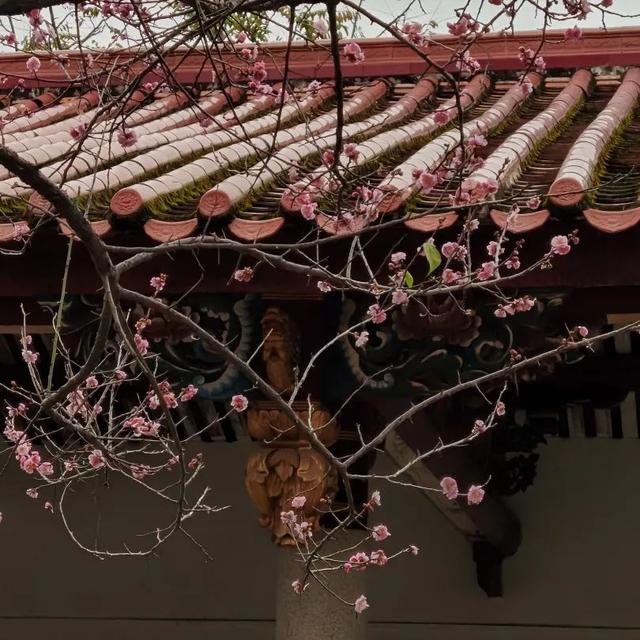 莆田普陀山在哪，莆田普陀山风景区