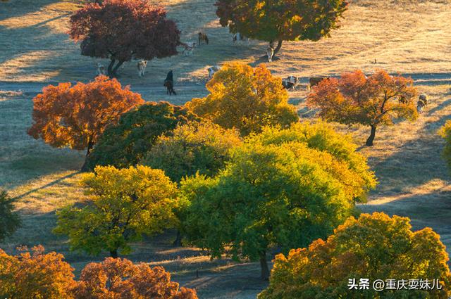 能避暑的地方推荐，推荐10处风景好的避暑好去处