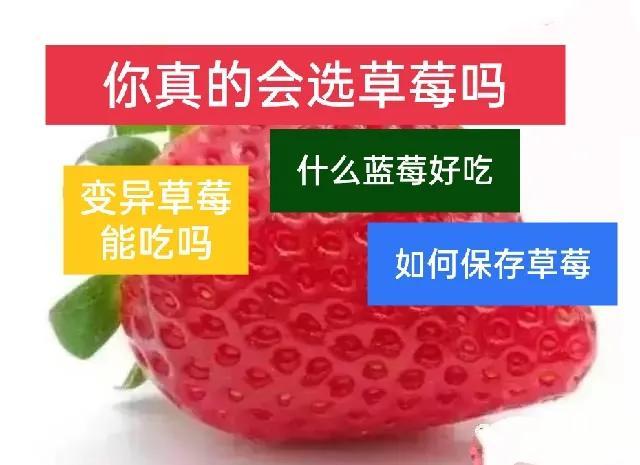草莓在一年四季哪个季节最好吃，你确定真的会选草莓吗