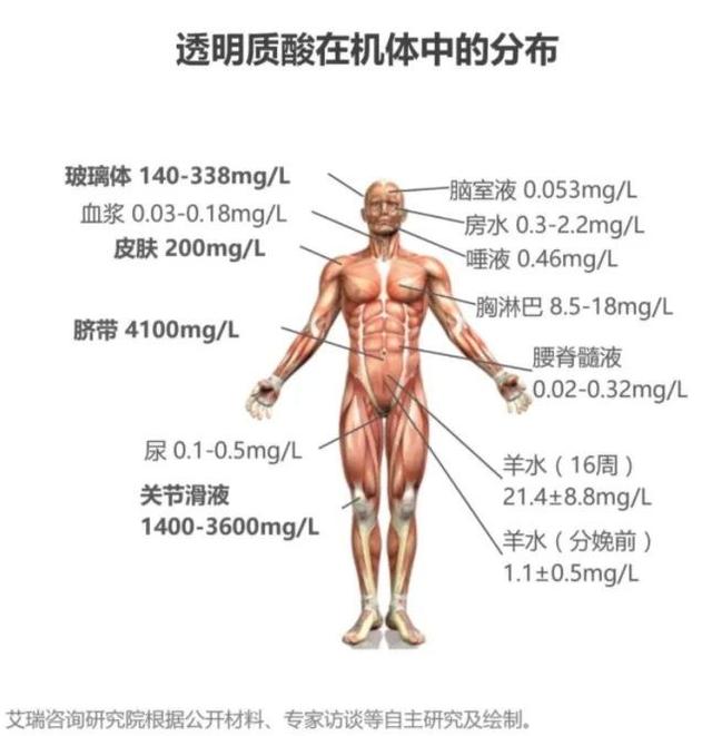 口服玻尿酸的作用和功效，玻尿酸可以“口服”了