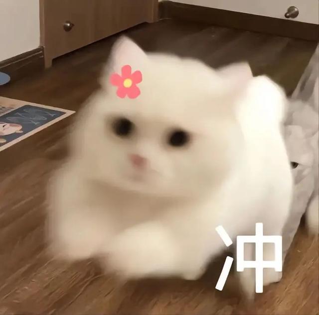 特别困的表情包抖音，表情，为什么你每天这么困