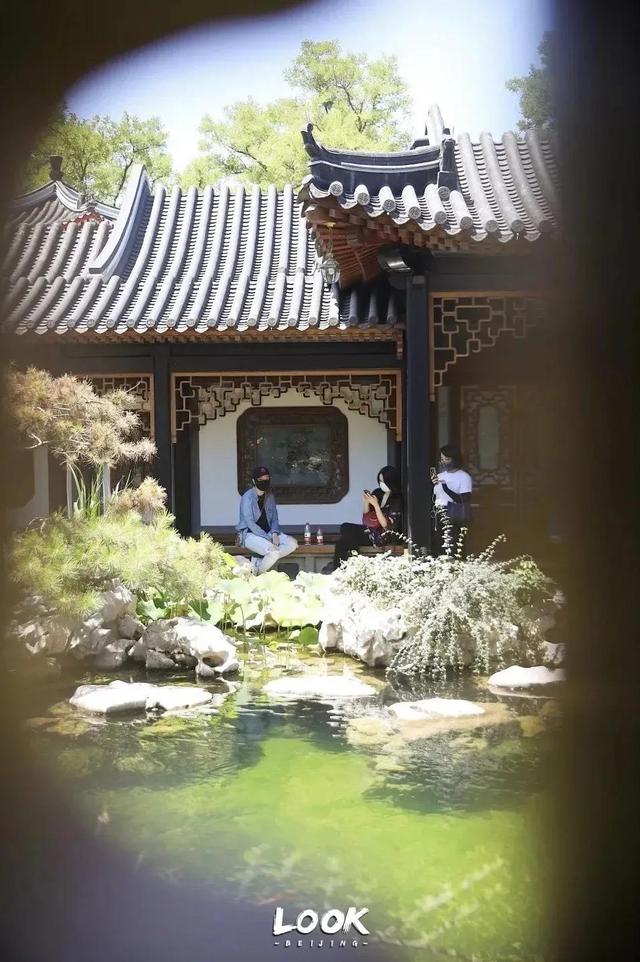 北京周末好去处市区，周末打卡好去处-白塔寺