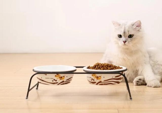 猫咪挑食怎么办，猫咪挑食怎么办3点解决