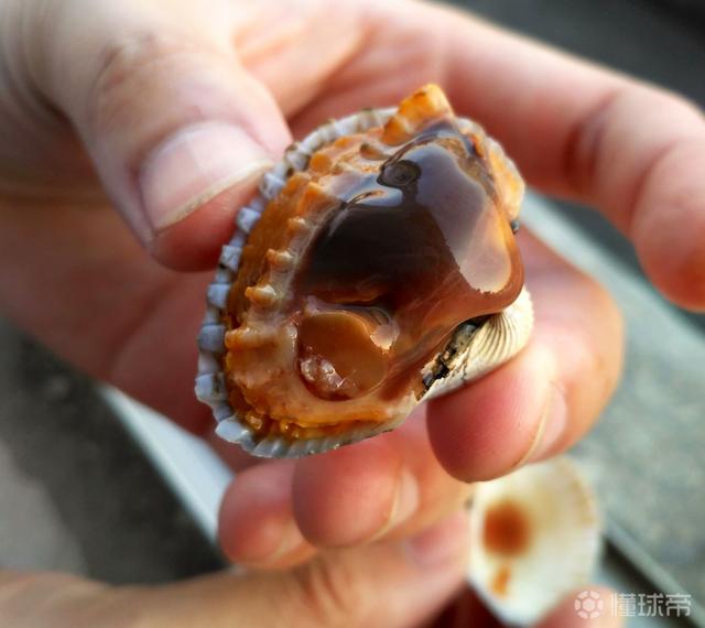 潮汕美食有哪些，潮汕美食推荐前十