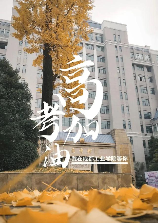 成都市有哪些高校属市属高校，经费不如市属高校