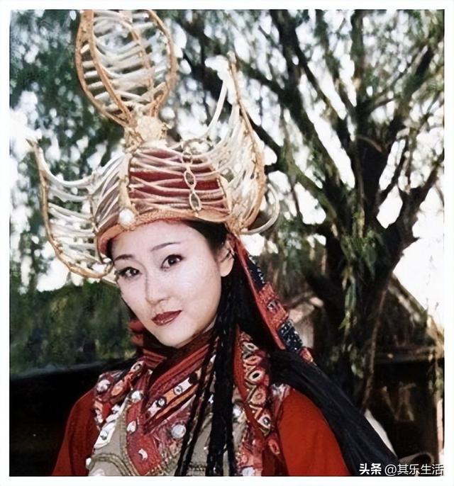 雍正年羹尧武打，雍正小蝶年羹尧播出24年