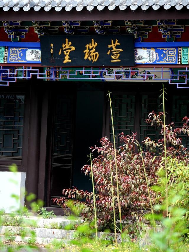 游子吟每天一首，《游子吟》唐代：孟郊