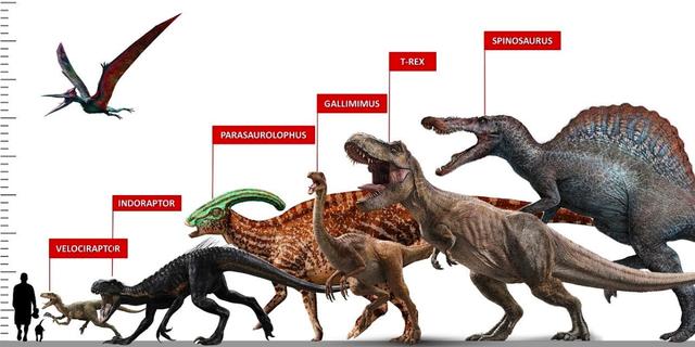 曾经统治地球的霸主恐龙大灭绝，统治了地球1亿7千万年