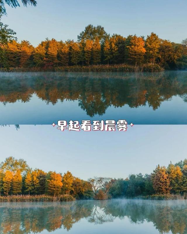 破冰之旅杭州西溪湿地，杭州-西溪国家湿地公园之旅