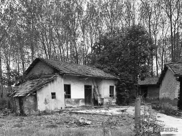 知青家庭结局剧情，年代剧《知青家庭》热播