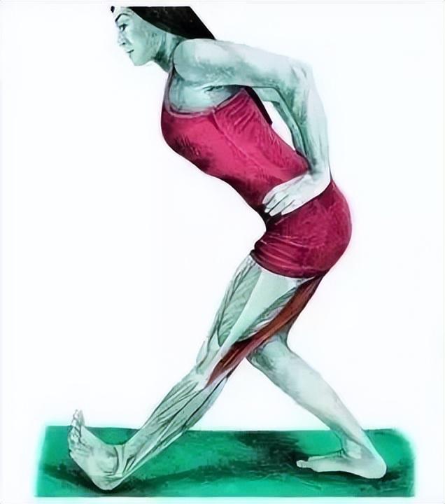 10分钟懒人拉伸训练动作，这6组33个拉伸动作绝了