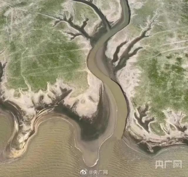 长江今日实时水位，长江水位武汉实时水位（<流量>信息2023-05-03）