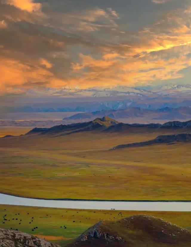 巴音布鲁克大草原，巴音布鲁克大草原的旅游攻略（为何说新疆旅游一定要去巴音布鲁克草原）