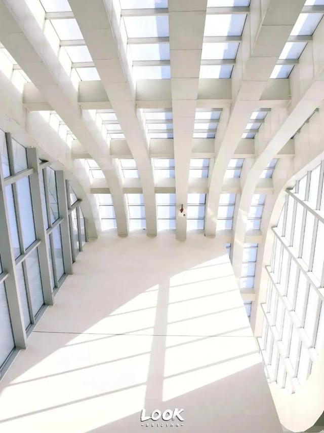 北京周末好去处市区，周末打卡好去处-白塔寺