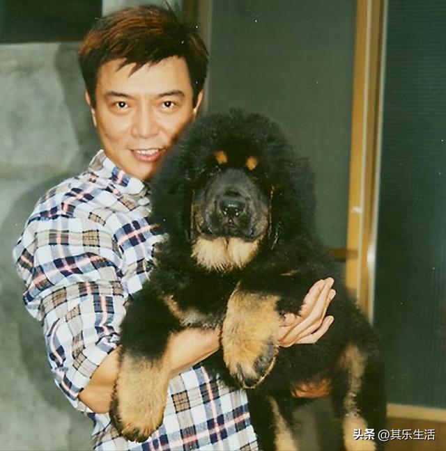 雍正年羹尧武打，雍正小蝶年羹尧播出24年