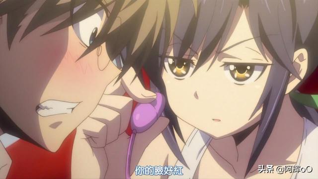 十大热血后宫番排行榜，猛男必看让人直呼