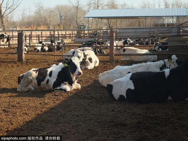 北京带孩子玩的地方推荐，北京小宝宝周末遛娃必备好去处（带娃去京郊这4个天然氧吧游山戏水~）