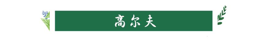 南山旅游攻略必去景点，南山旅游景区花开正好时