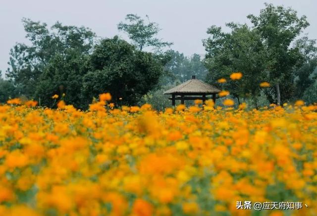 南京打卡景点小众，安利30处南京小众打卡地