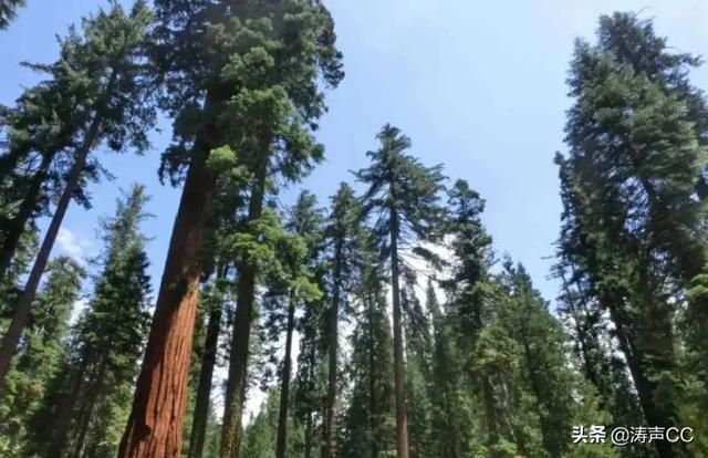 山西恒山悬空寺，北岳恒山悬空寺之谜（山西省北岳恒山悬空寺）