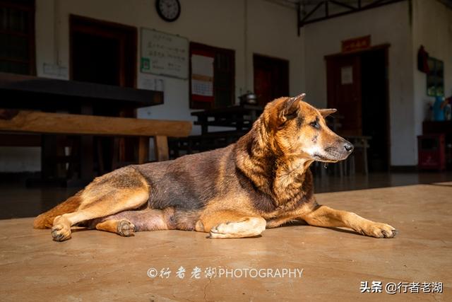 广东最隐秘的温泉谷，广东乡村温泉自驾游攻略