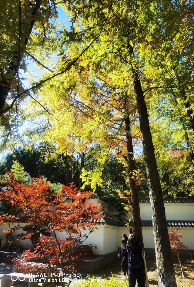 北宫国家森林公园景点介绍，北宫国家森林公园游记