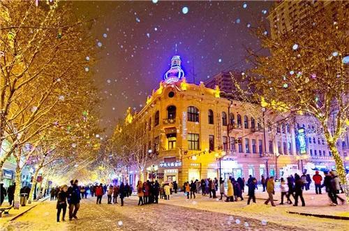 哈尔滨常住人口总数2022，2022哈尔滨各区人口