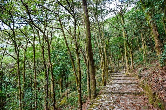 罗浮山自驾游攻略，罗浮山