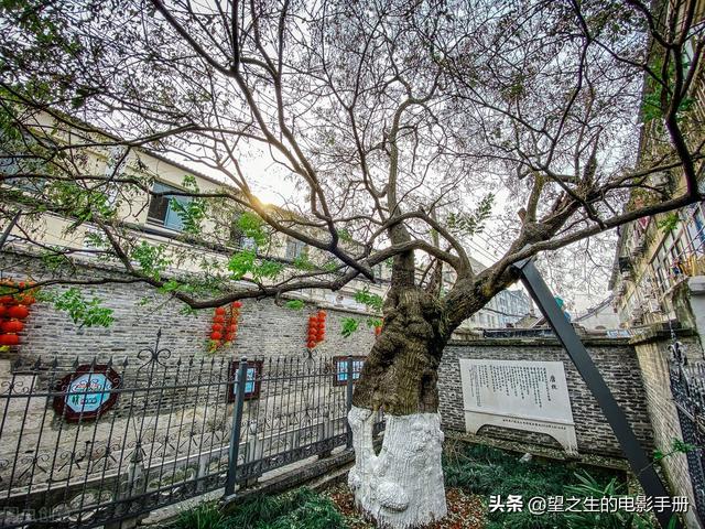 南柯一梦成语故事，经典成语故事南柯一梦（南柯一梦）