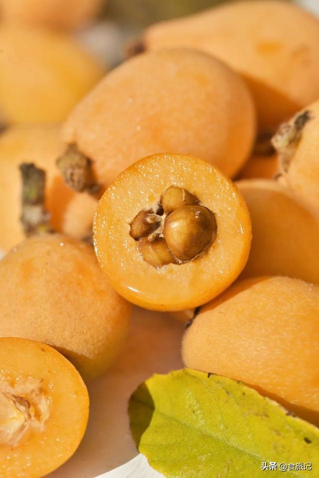 同样是大五星枇杷，四川米易枇杷几月成熟