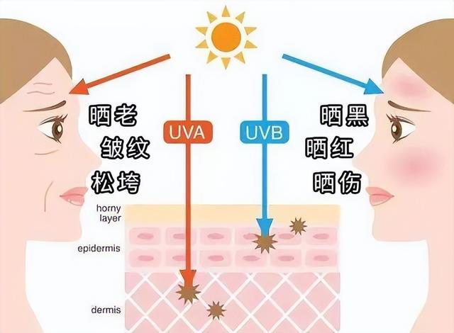 美白防晒正确使用方式，涂了也是“白做功”了