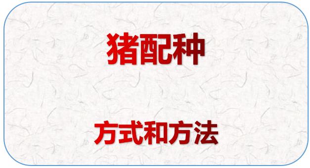 猪饲养技术大全，规模化猪场不同猪群的饲养管理技术要点