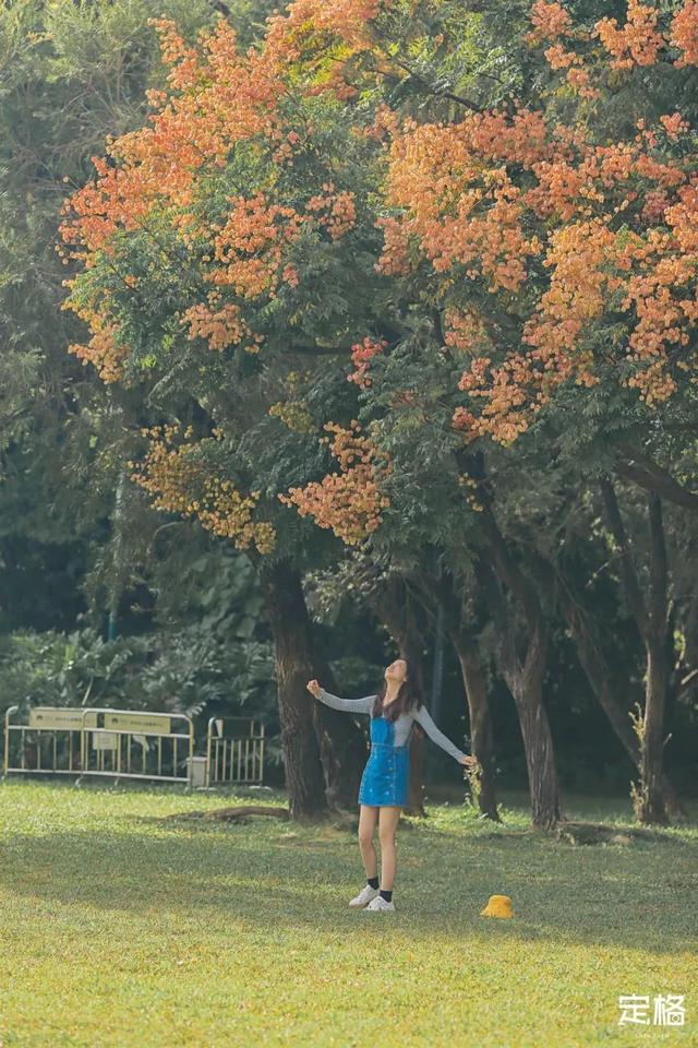 深圳地铁1号线游玩，免费地铁直达深圳这些地方一天玩遍